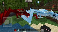 Dragons